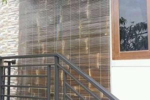 WhatsApp Image 2021-01-14 at 07.39.35 WhatsApp Image 2021-01-14 at 07.39.35